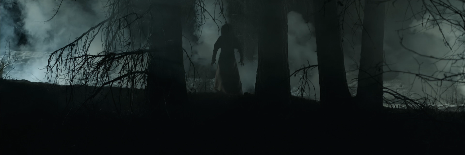 THE RABBIT